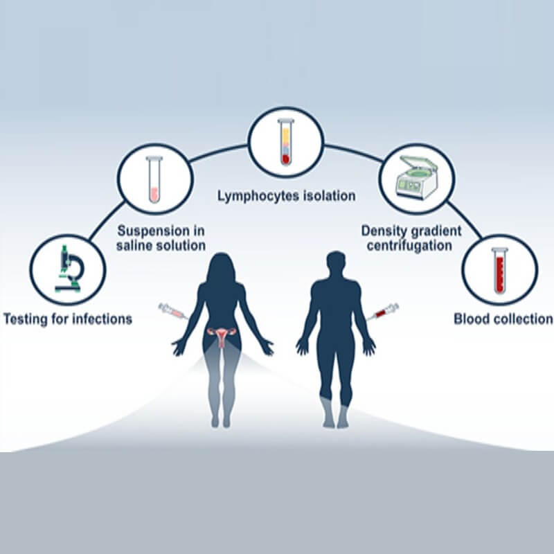 lymphocyte Immunotherapy