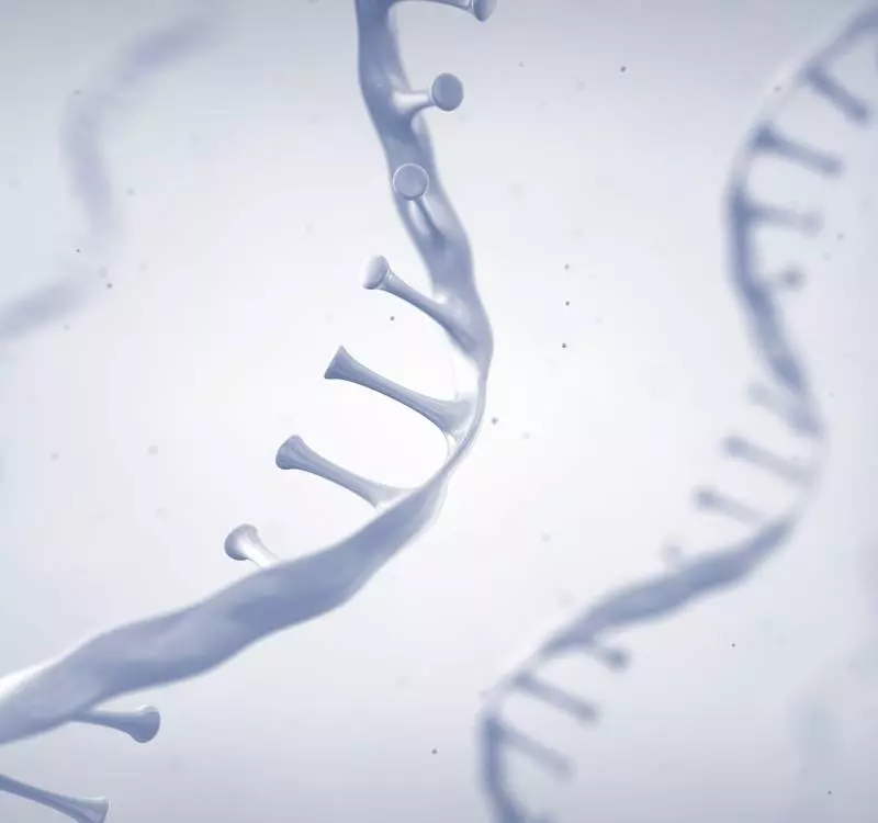 Whole Exome Sequencing Test (WES)