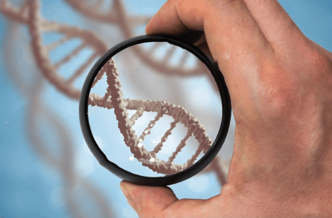 Preimplantation Genetic Testing (PGT-M) 